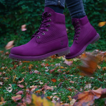 Flixel Cinemagraph