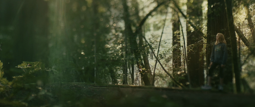 Flixel Cinemagraph