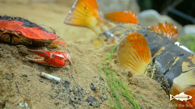 Flixel Cinemagraph
