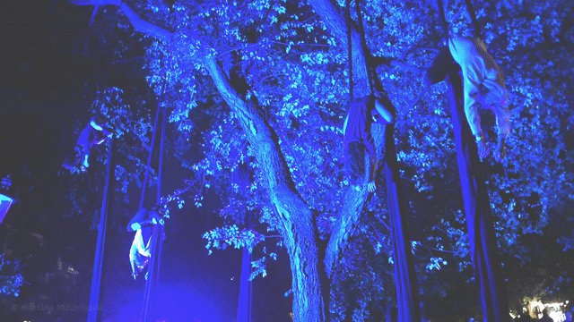 Flixel Cinemagraph