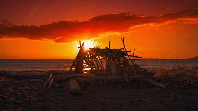 Flixel Cinemagraph