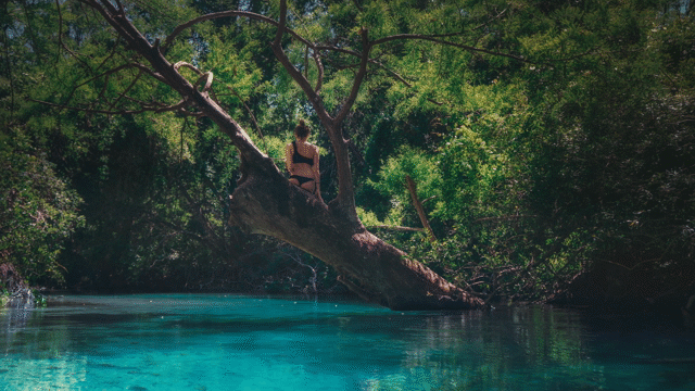 Flixel Cinemagraph