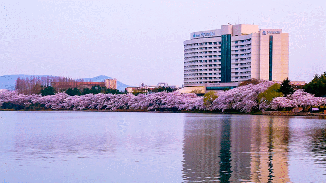 Flixel Cinemagraph