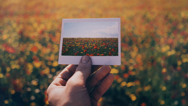Flixel Cinemagraph