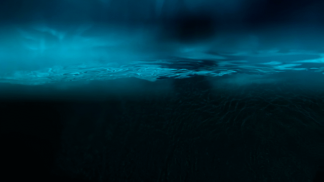 Flixel Cinemagraph