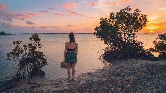 Flixel Cinemagraph