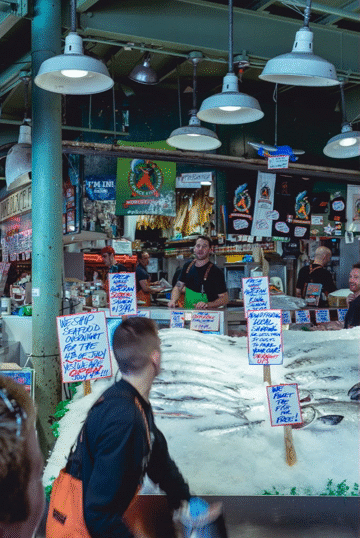 Flixel Cinemagraph