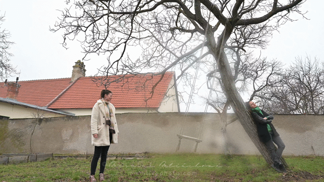 Flixel Cinemagraph
