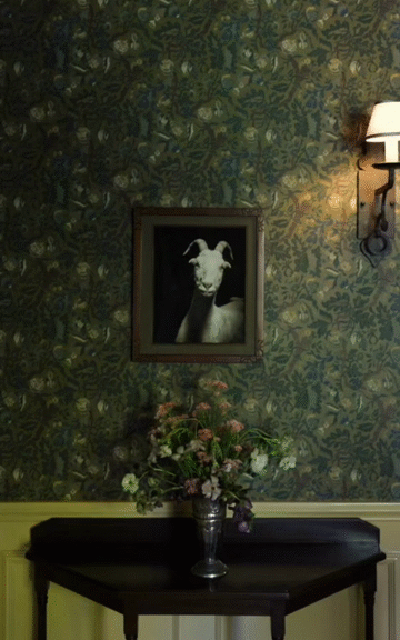 Flixel Cinemagraph