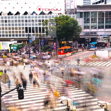 Flixel Cinemagraph
