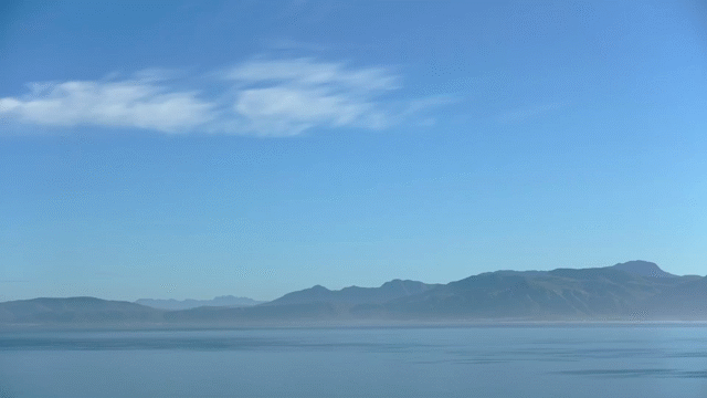Flixel Cinemagraph
