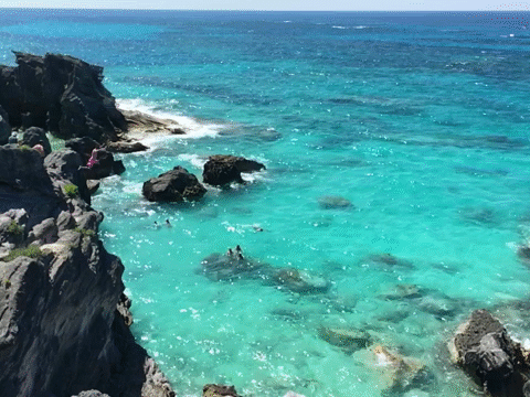 Flixel Cinemagraph