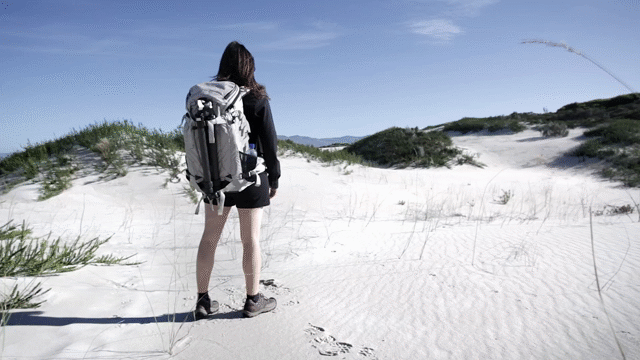 Flixel Cinemagraph