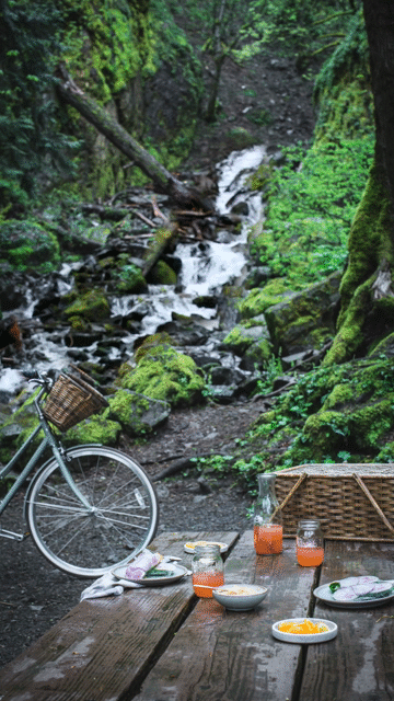 Flixel Cinemagraph