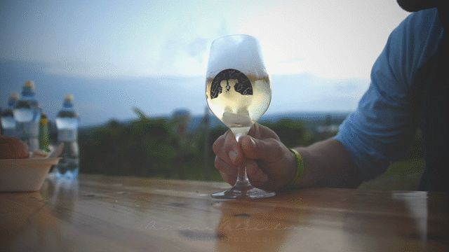 Flixel Cinemagraph