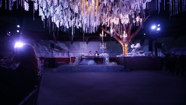 Flixel Cinemagraph