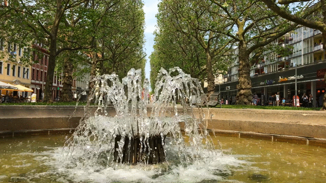 Flixel Cinemagraph