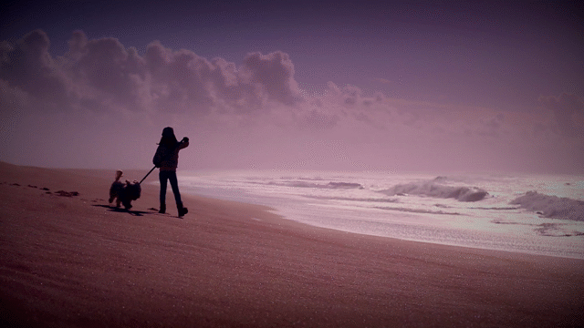 Flixel Cinemagraph