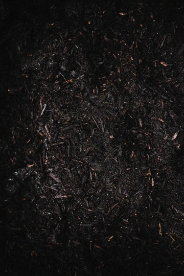 Flixel Cinemagraph