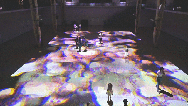Flixel Cinemagraph