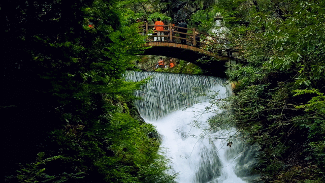 Flixel Cinemagraph
