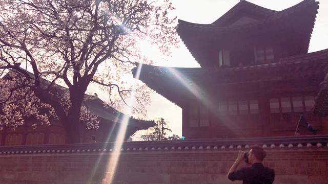 Flixel Cinemagraph