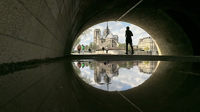 Flixel Cinemagraph