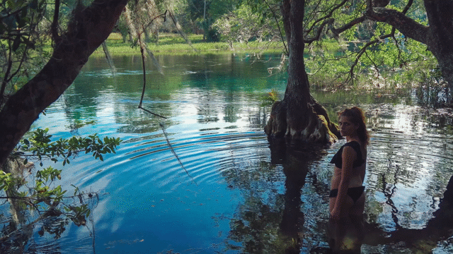 Flixel Cinemagraph