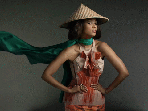 Flixel Cinemagraph