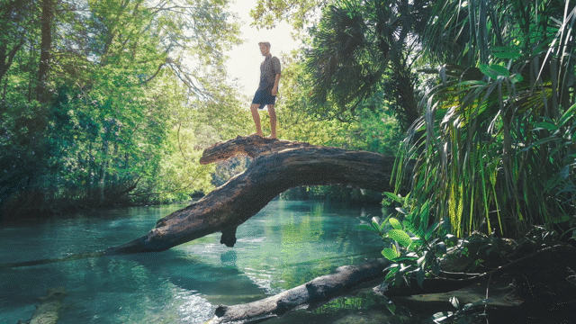 Flixel Cinemagraph