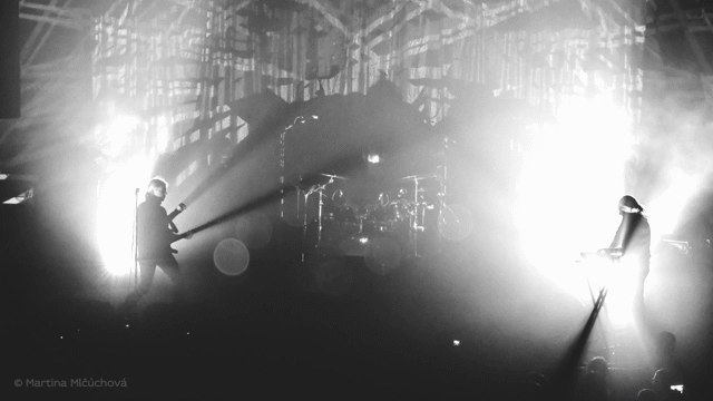 Flixel Cinemagraph
