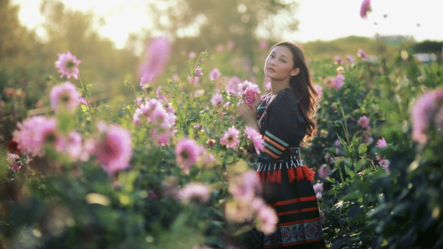 Flixel Cinemagraph