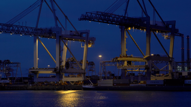 Flixel Cinemagraph