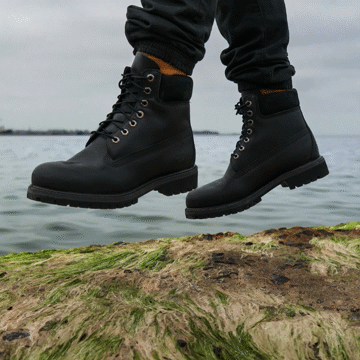 Flixel Cinemagraph