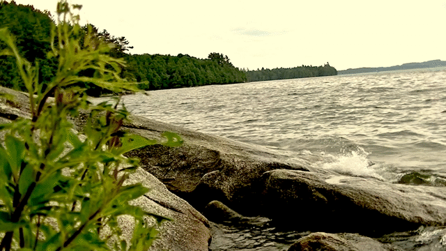 Flixel Cinemagraph