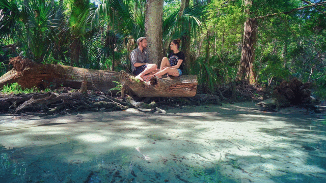 Flixel Cinemagraph