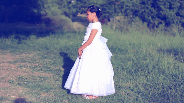 Flixel Cinemagraph